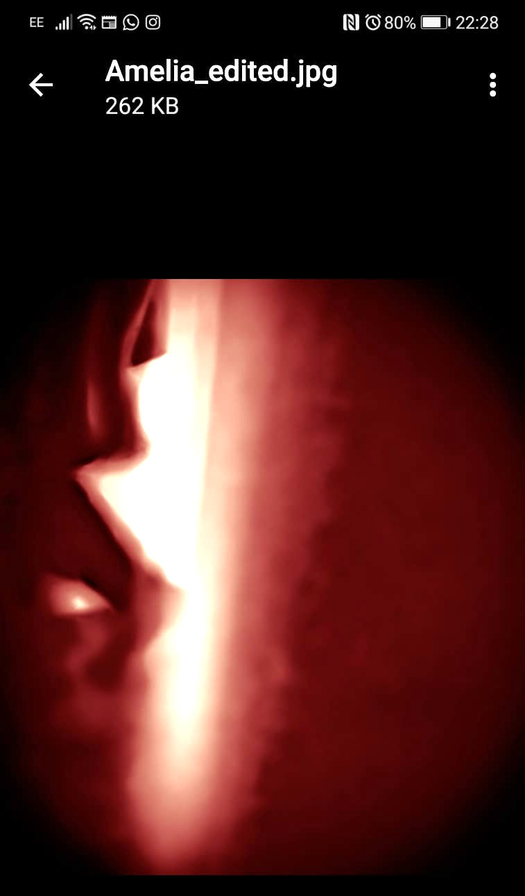 shadows inside Amelia's house