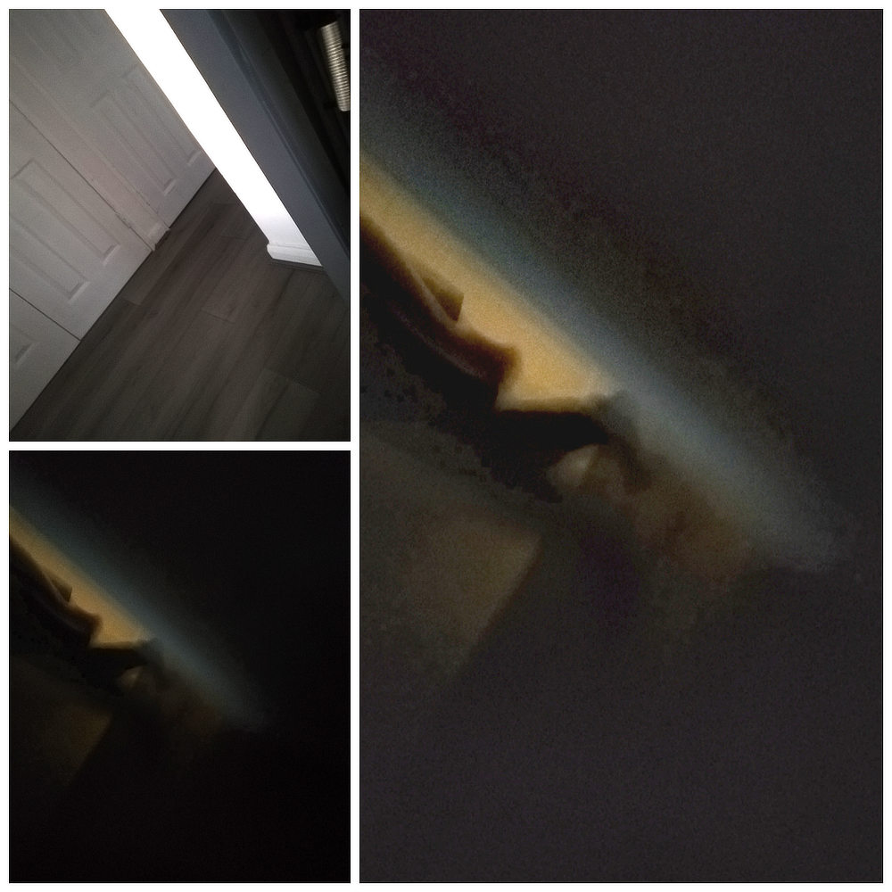 shadows inside Amelia's house