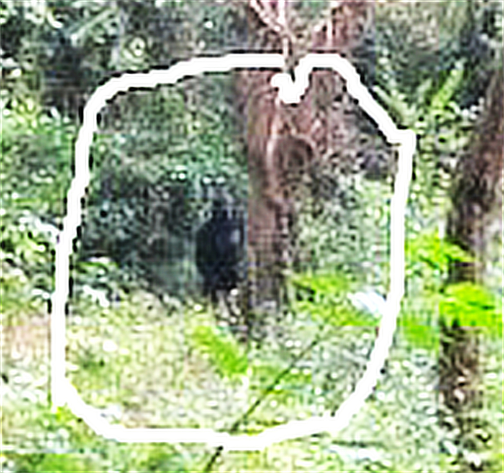steve's shot zoomed